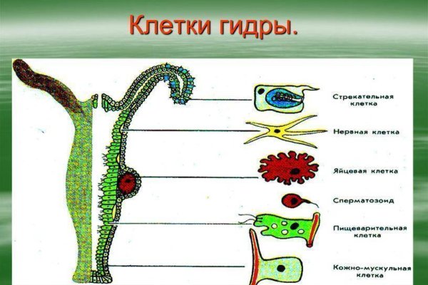 Кракен невозможно зарегистрировать пользователя